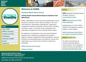 Web site design for NAMA